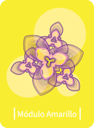 Módulo Amarillo