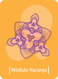 Módulo Naranja